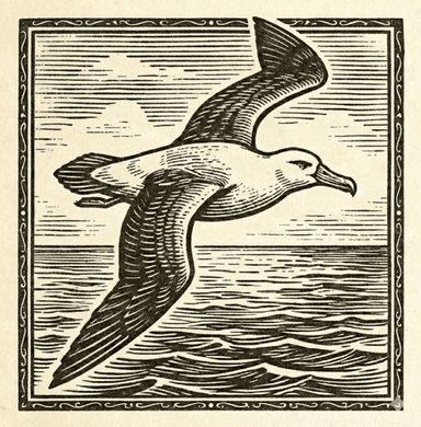 The Albatross